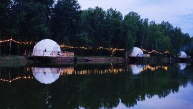 Photo of Ужин в шале на воде